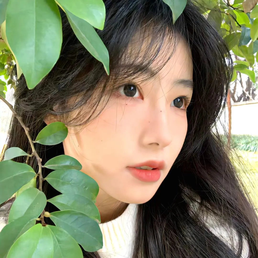 亚当和伊夫