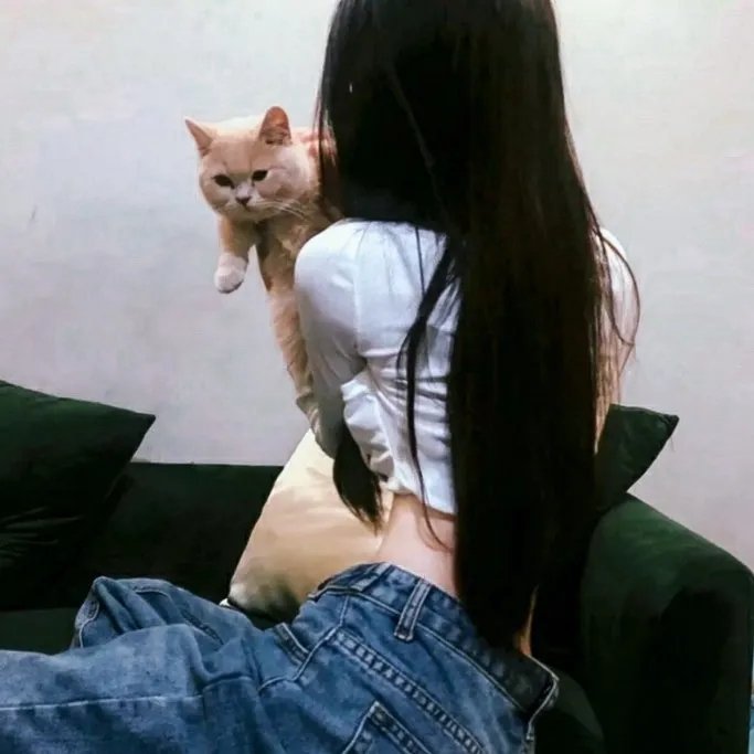 侠女十三妹